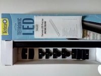 Tetronic LED ProLine купить
