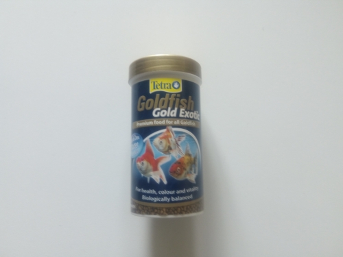 Goldfish Gold Exotic